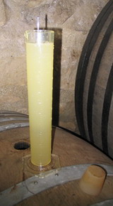 fin de fermentation- densité - champagne 2006
